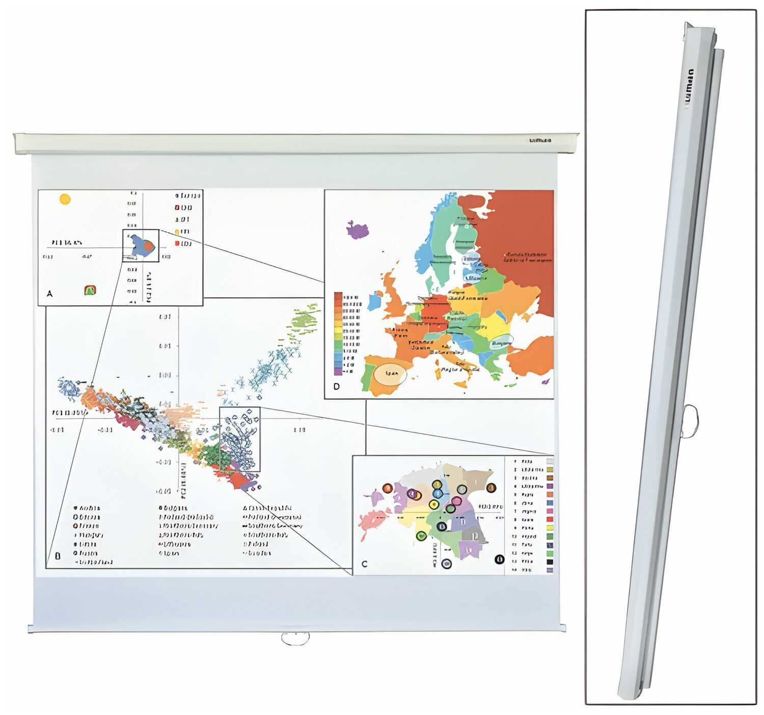 Рулонный Lumien Eco Picture (LEP-100102) фотография 6
