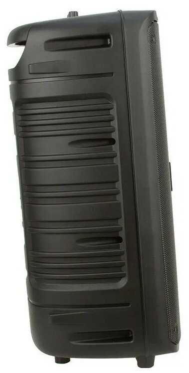Портативная колонка ELTRONIC 20-20 FIRE BOX 300 динамик 2шт/6.5