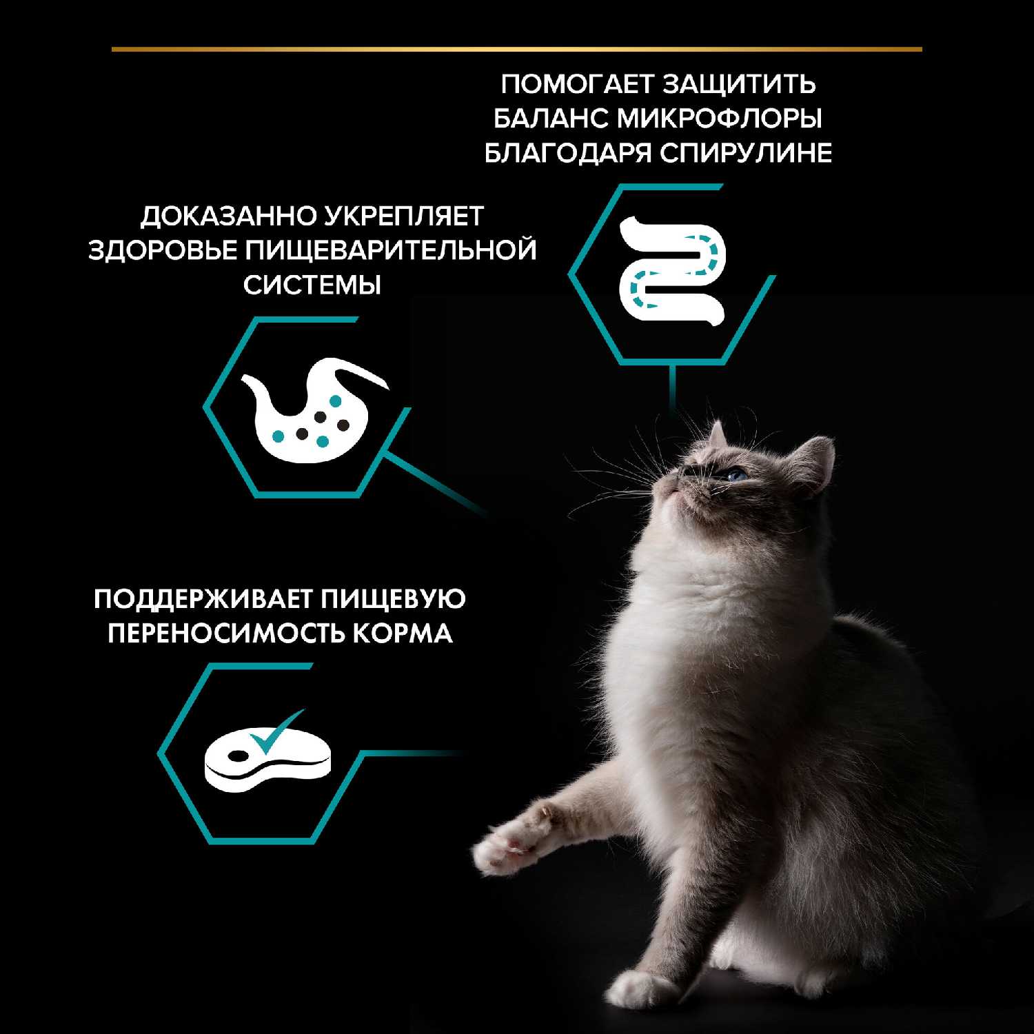 Корм для кошек Pro Plan Nature Elements с индейкой фотография 10