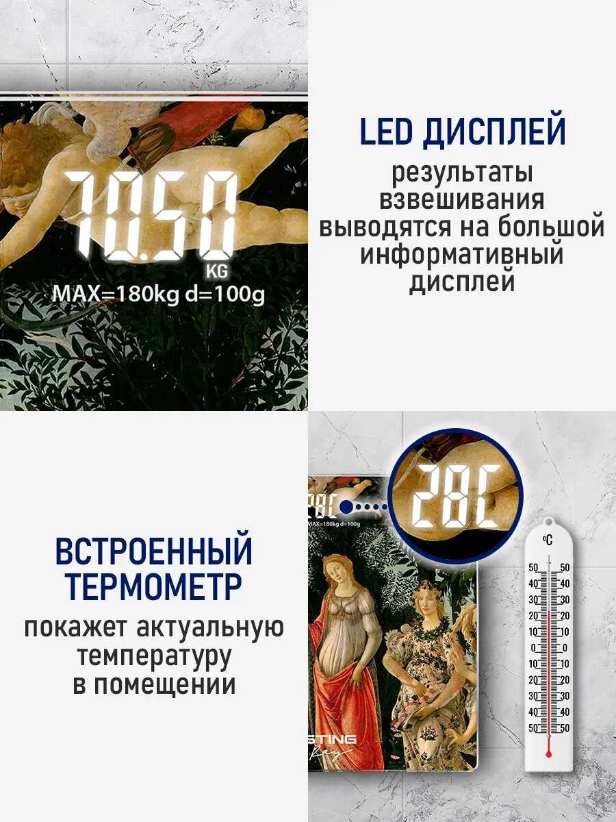 Весы STINGRAY Свершение (ST-SC5001A) фотография 9