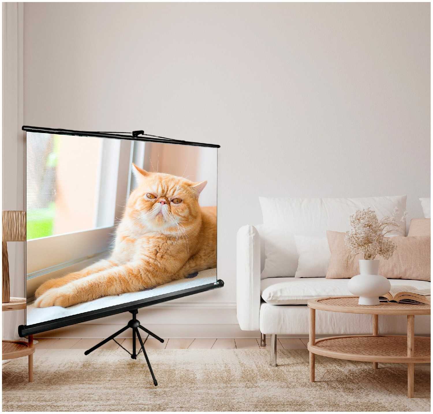 Рулонный cactus Triscreen (CS-PST-127x127) фотография 1