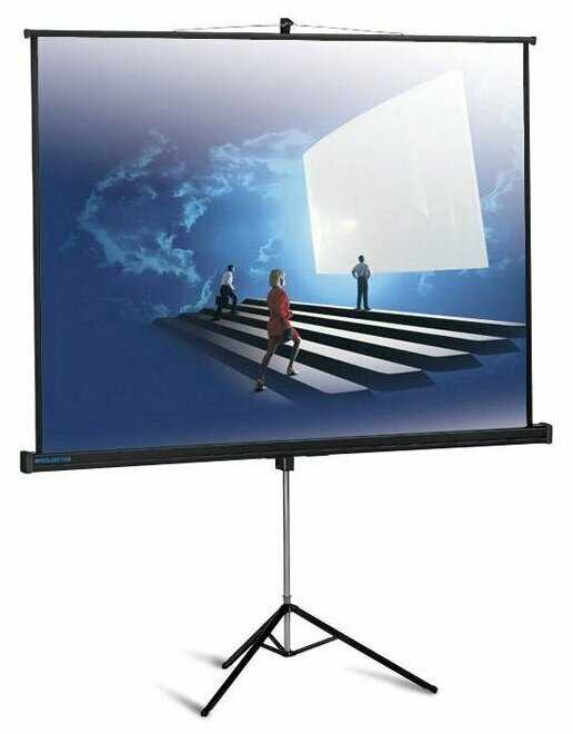 Экран Classic Solution Libra (T 180x180/1 MW-LS/B) фотография 2