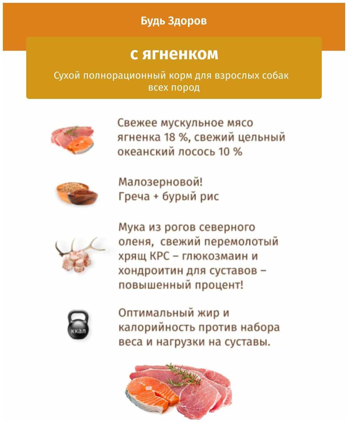 Корм для взрослых собак Живая сила Будь Здоров (с ягненком) фотография 4