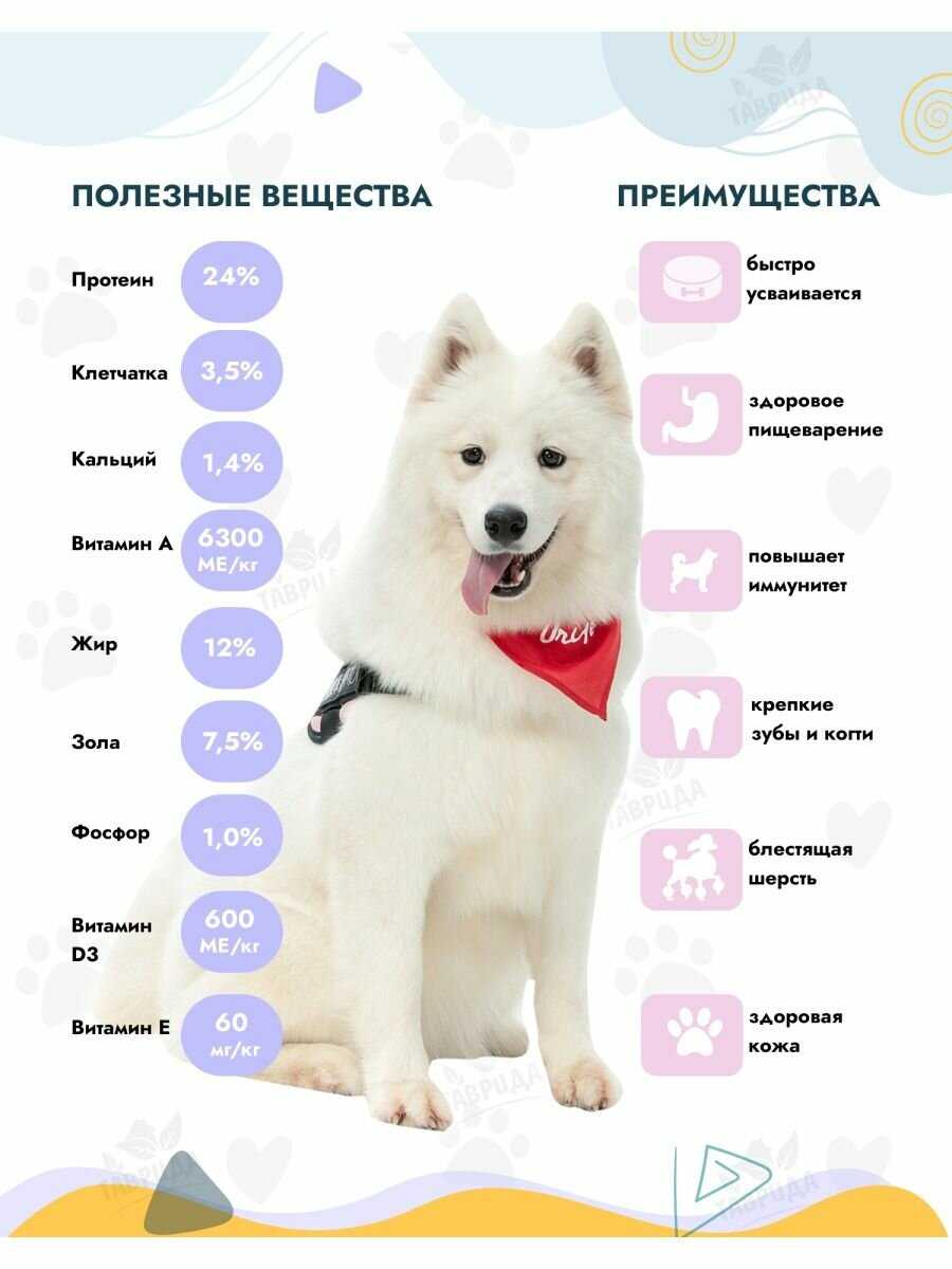 Корм для собак Provipet при чувствительном пищеварении фотография 6
