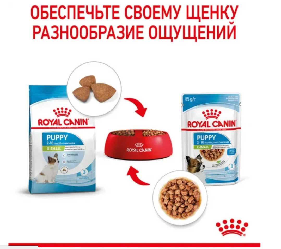 Влажный корм Royal Canin X-Small Puppy фотография 1