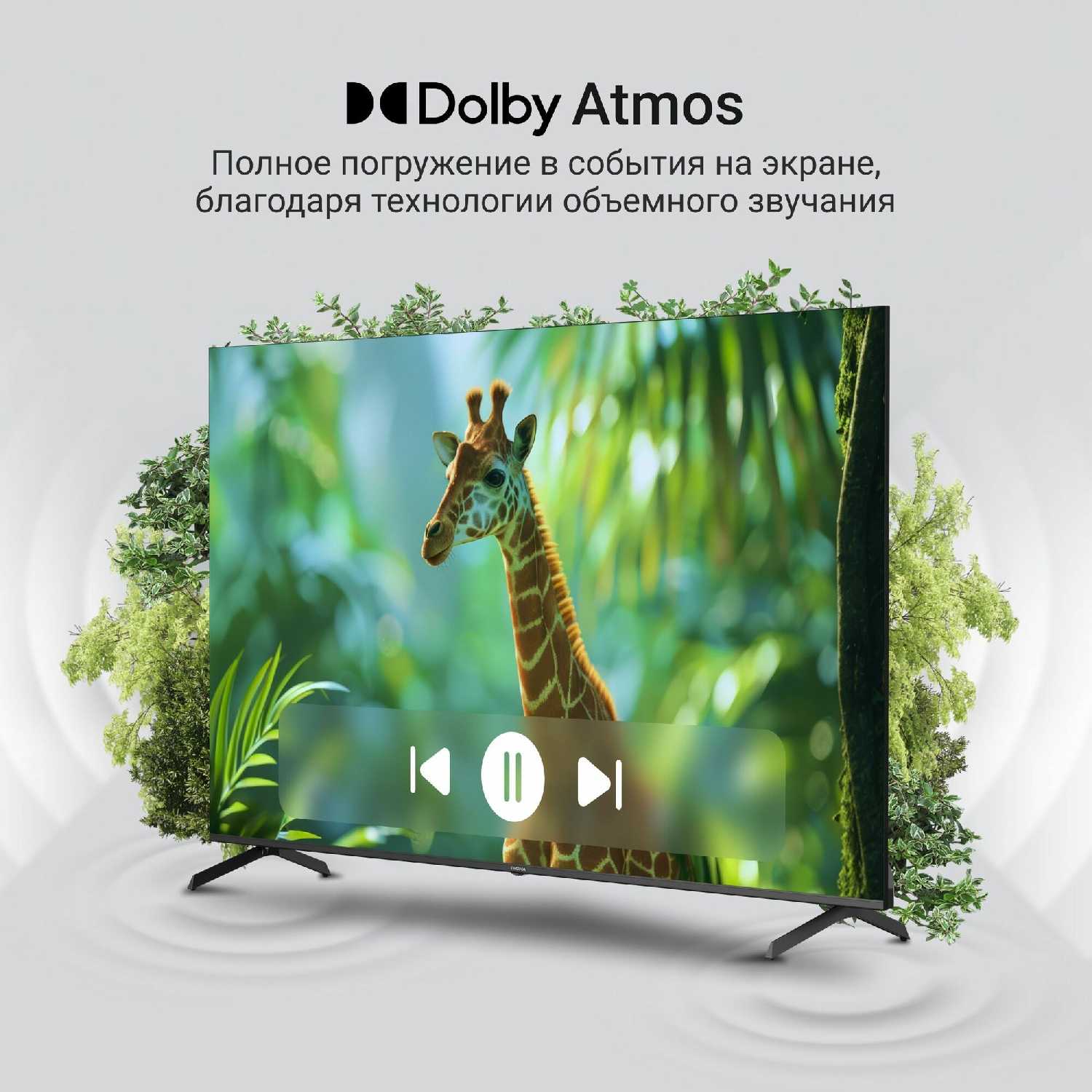 Телевизор DIGMA DM-LED32SBB39 фотография 2