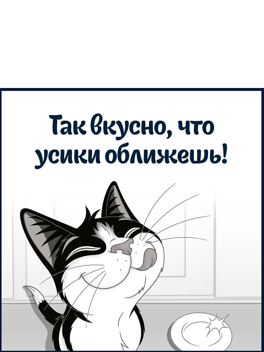 Сухой Корм для кошек Felix Двойная вкуснятина фотография 16