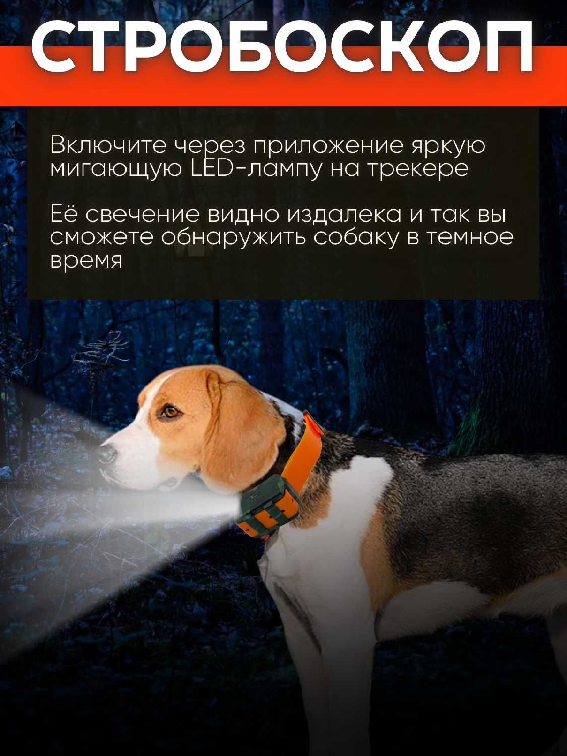 GPS/Glonass трекер IK122М PRO 4G LTE (IK122М) фотография 8