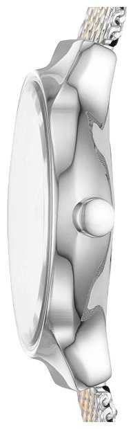 Наручные часы SKAGEN SKW2698 фотография 2