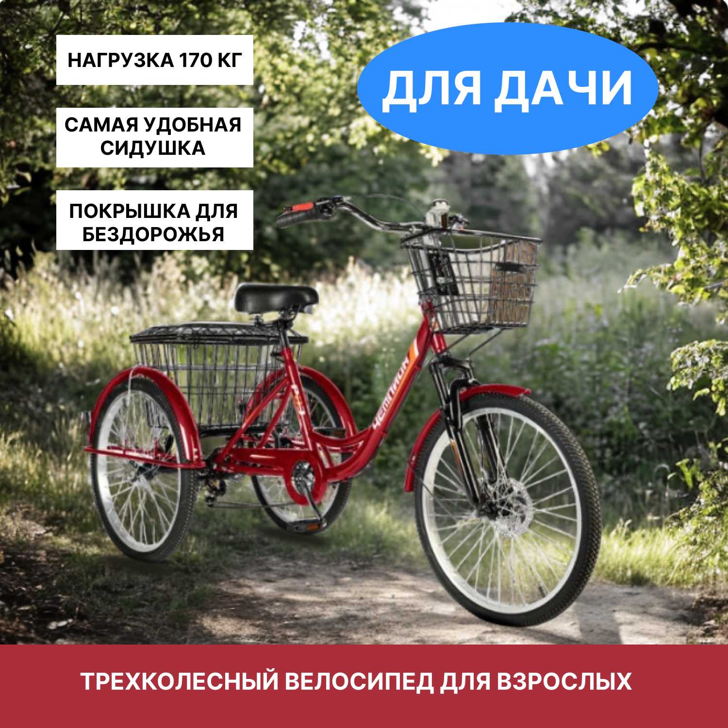 Трехколесный велосипед для взрослых РВЗ Чемпион 24
