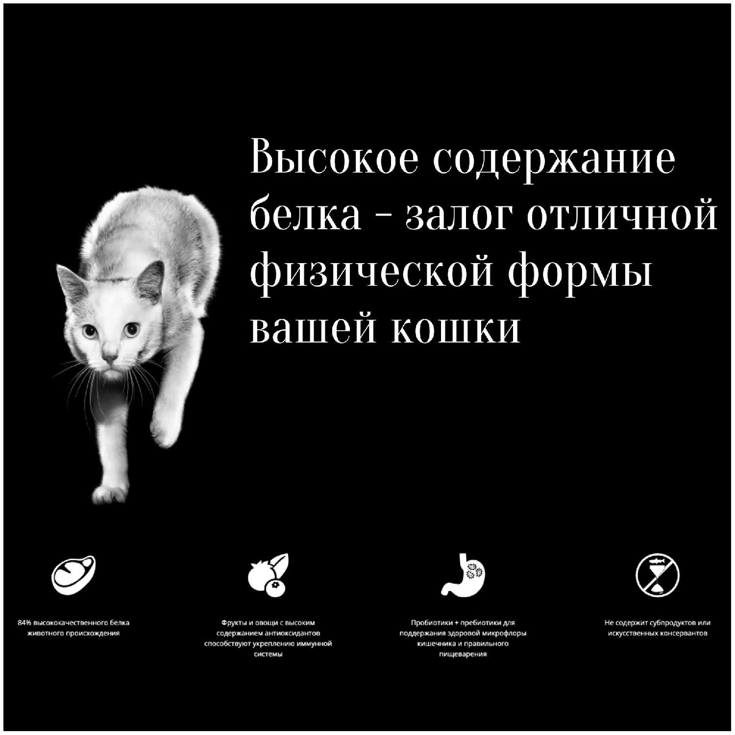 Корм для кошек GO! Carnivore (лосось, треска) фотография 15