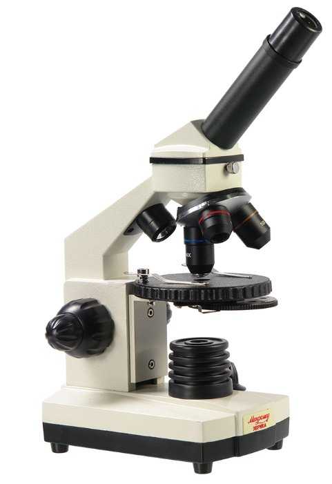 Микроскоп Микромед Эврика 40–1280х в текстильном кейсе фотография 13