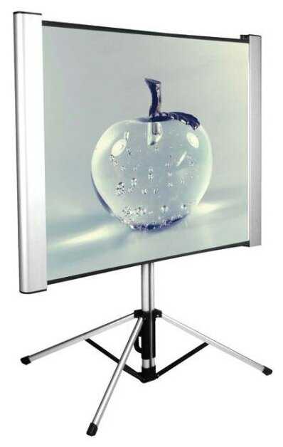 Экран Cactus 102x180см TriAlExpert CS-PSTALE-180X102 16:9 напольный рулонный фотография 11