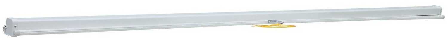 Рулонный cactus Wallscreen (CS-PSW-149x265) фотография 2