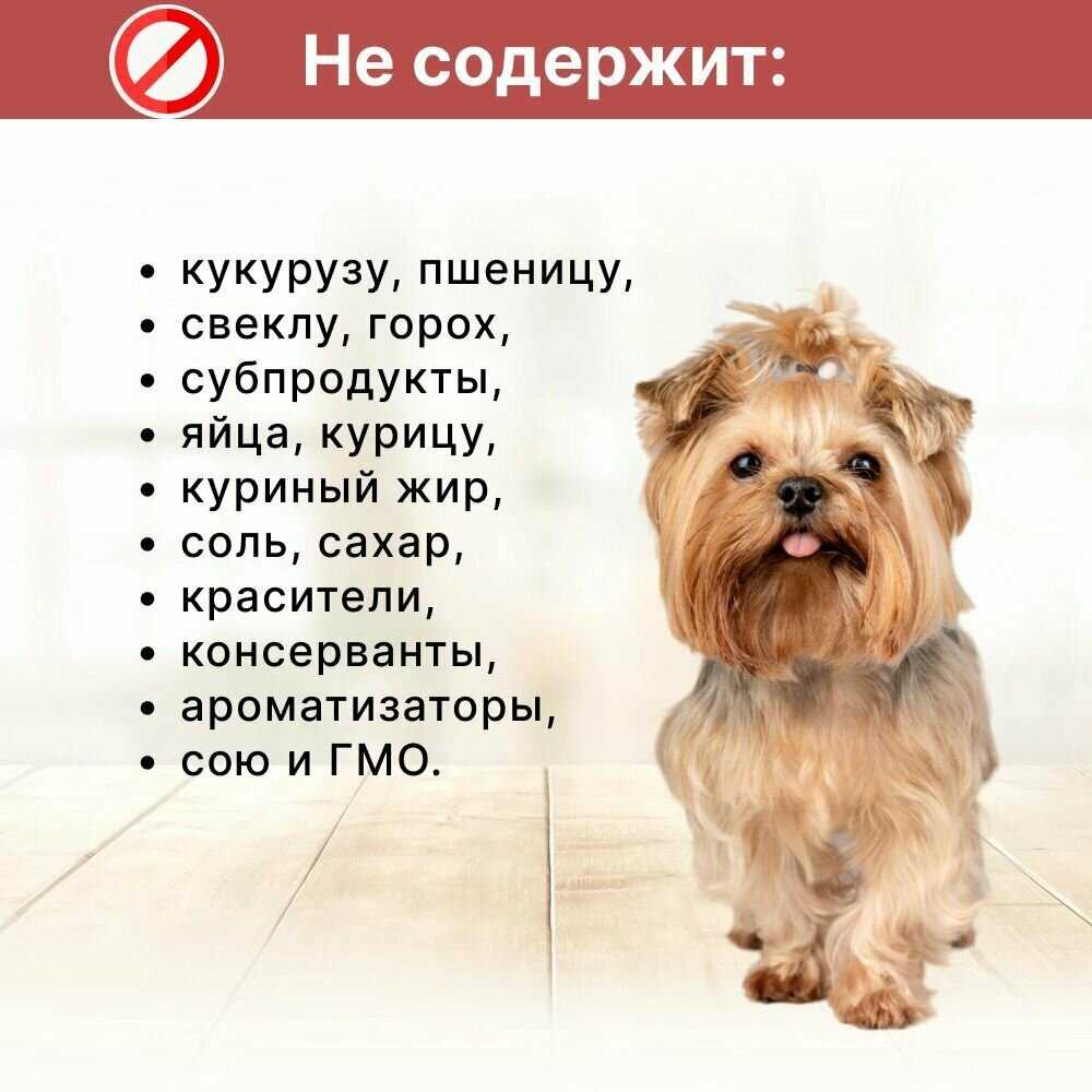 Корм для собак Grandorf Grandorf (индейка, с рисом) фотография 6