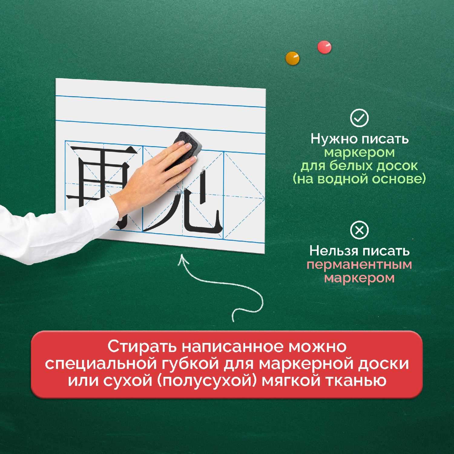 Разлиновка магнитная для школьной доски фотография 23