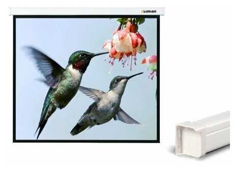 Рулонный Lumien Master Picture (LMP-100130) фотография 5