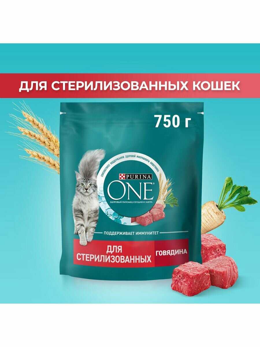 Корм Purina ONE с высоким содержанием лосося и пшеницы фотография 10
