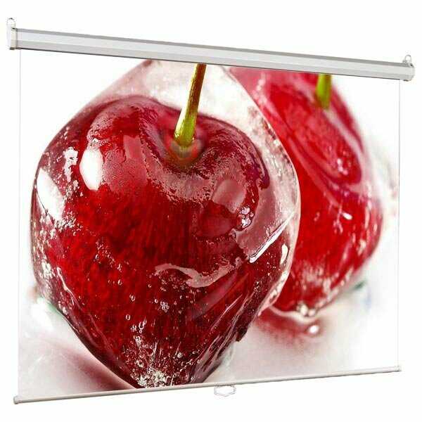 Экран Viewscreen Scroll (WSC-1101) фотография 3