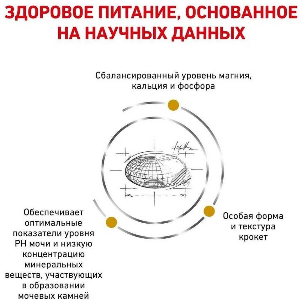 Влажный корм для кошек Royal Canin Urinary S/O Moderate Calorie фотография 6