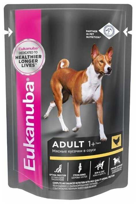 Корм для собак Eukanuba для здоровья кожи и шерсти