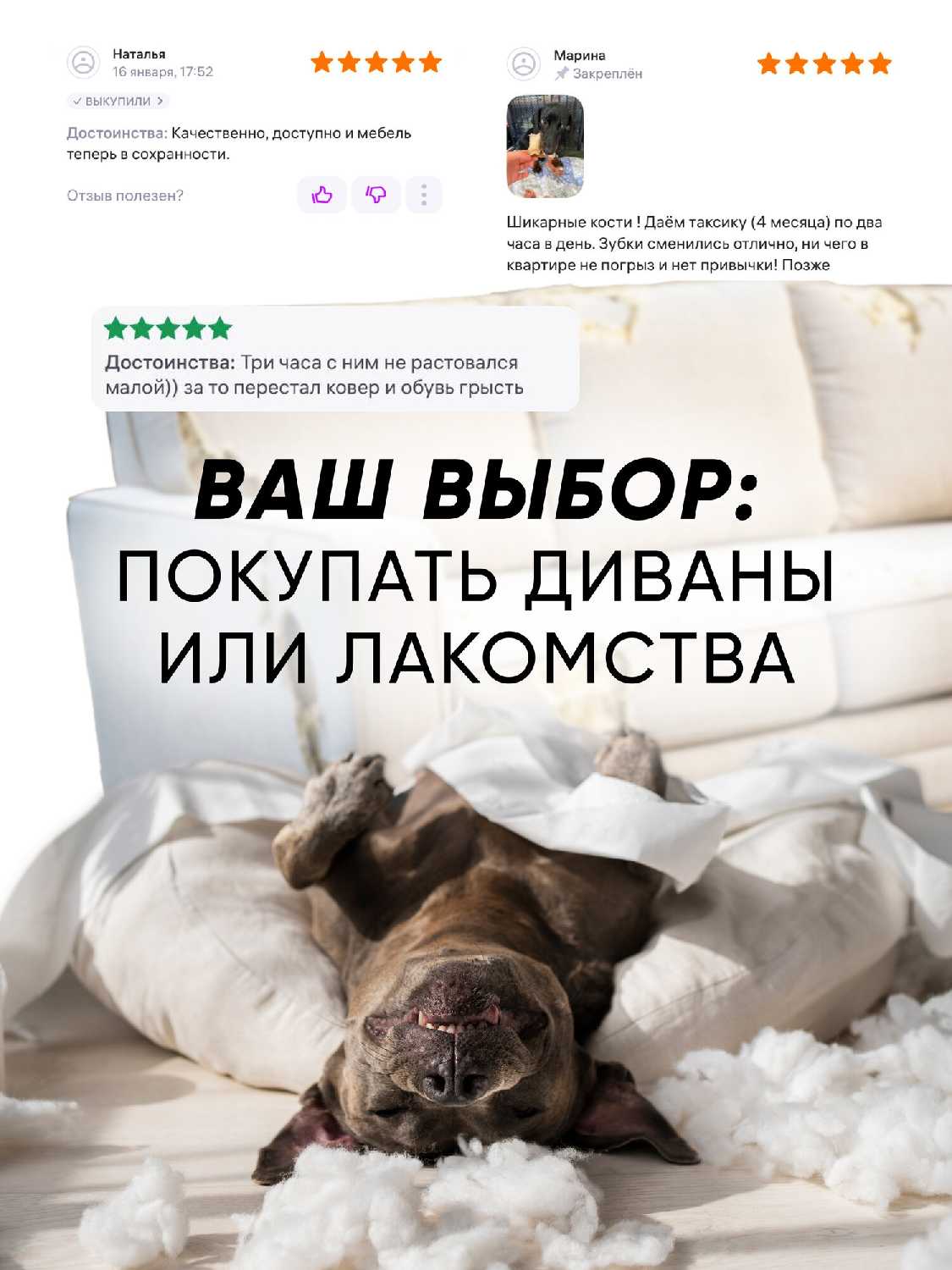 Кости для собак Баранья ножка фотография 5