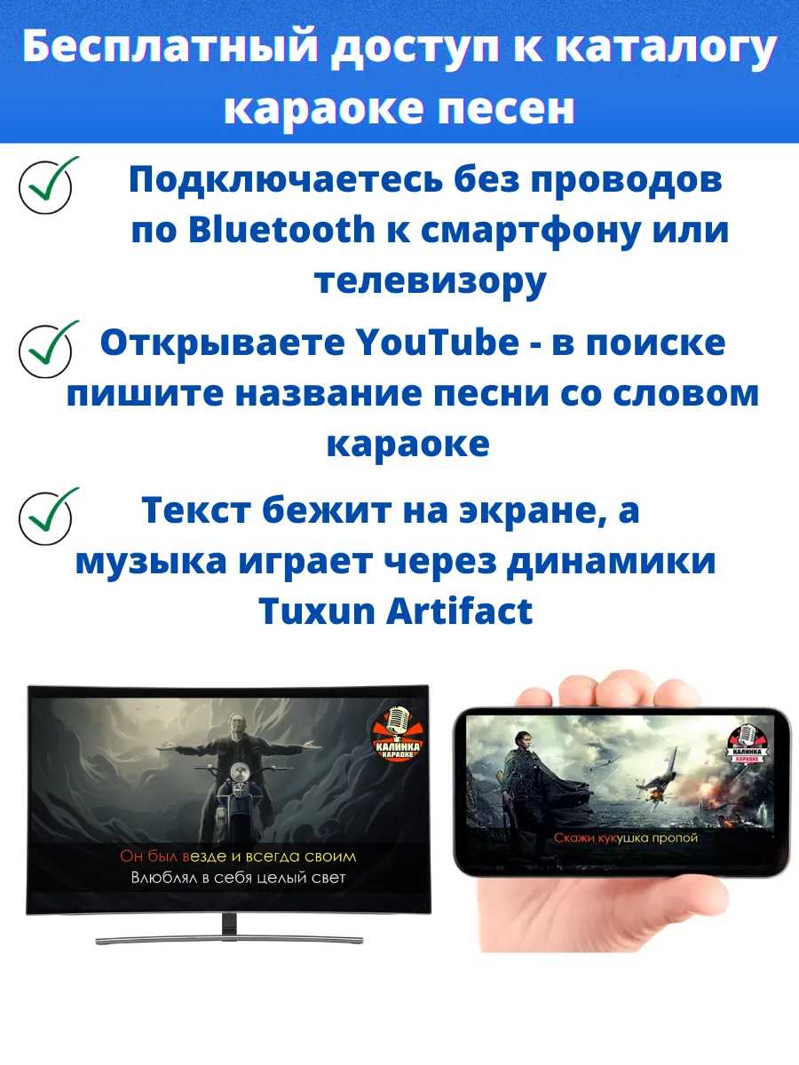 Караоке система для дома Tuxun Artifact 2.1 PRO [130 Вт] фотография 5