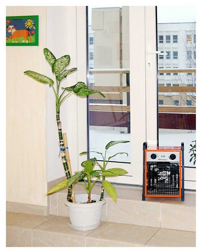 Электрическая тепловая пушка Тепломаш КЭВ-4С40Е фотография 2