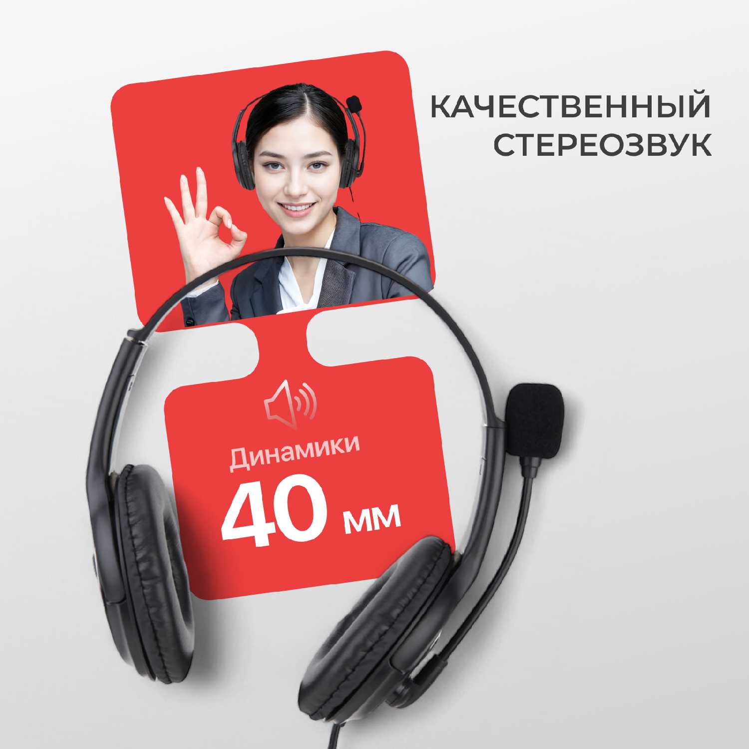 Наушники с микрофоном JazzTel Home H108 (H108 USB) фотография 1