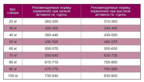 Корм для собак Blitz Курица фотография 5