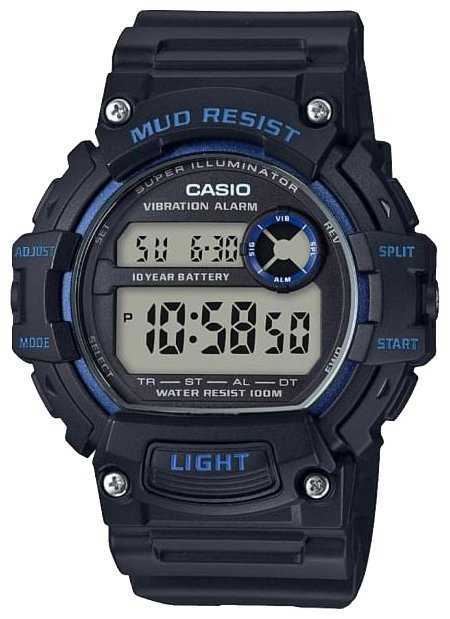 Наручные часы CASIO TRT-110H-2A