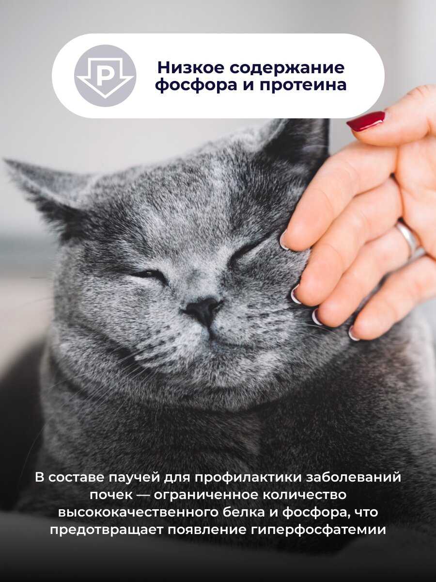 Корм для кошек Jarvi Preventive diet line Renal (соус) Говядина фотография 4