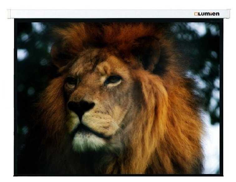 Рулонный Lumien Master Control (LMC-100128) фотография 1