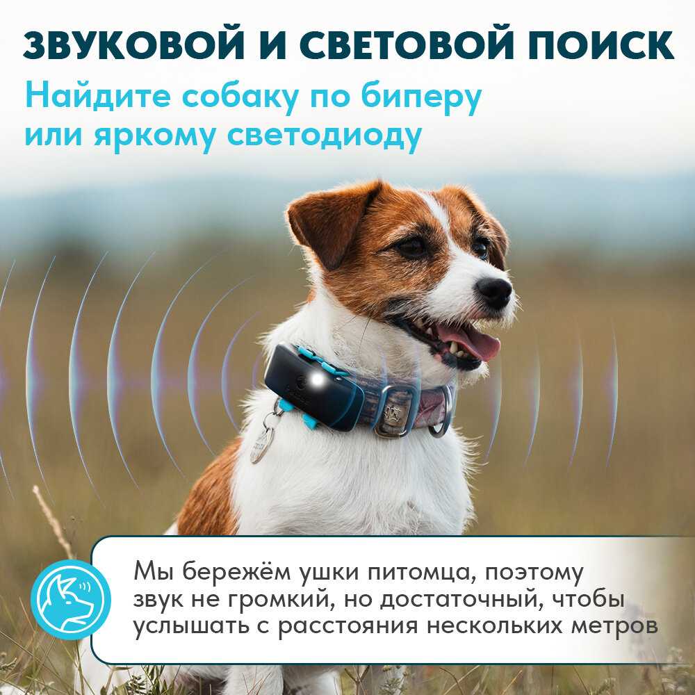 GPS трекер Petsee Petsee 4G Dogs фотография 9