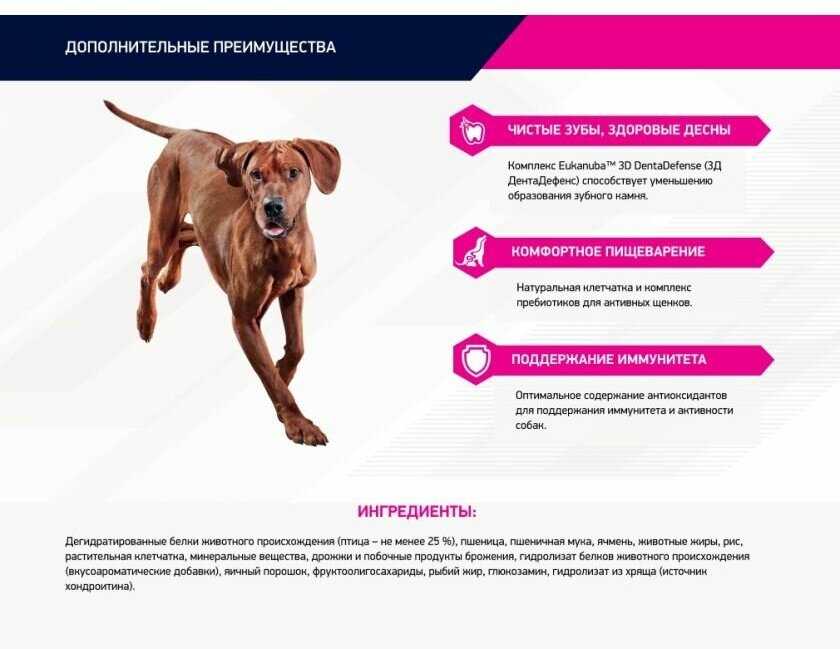 Корм для собак Eukanuba для пожилых собак фотография 13