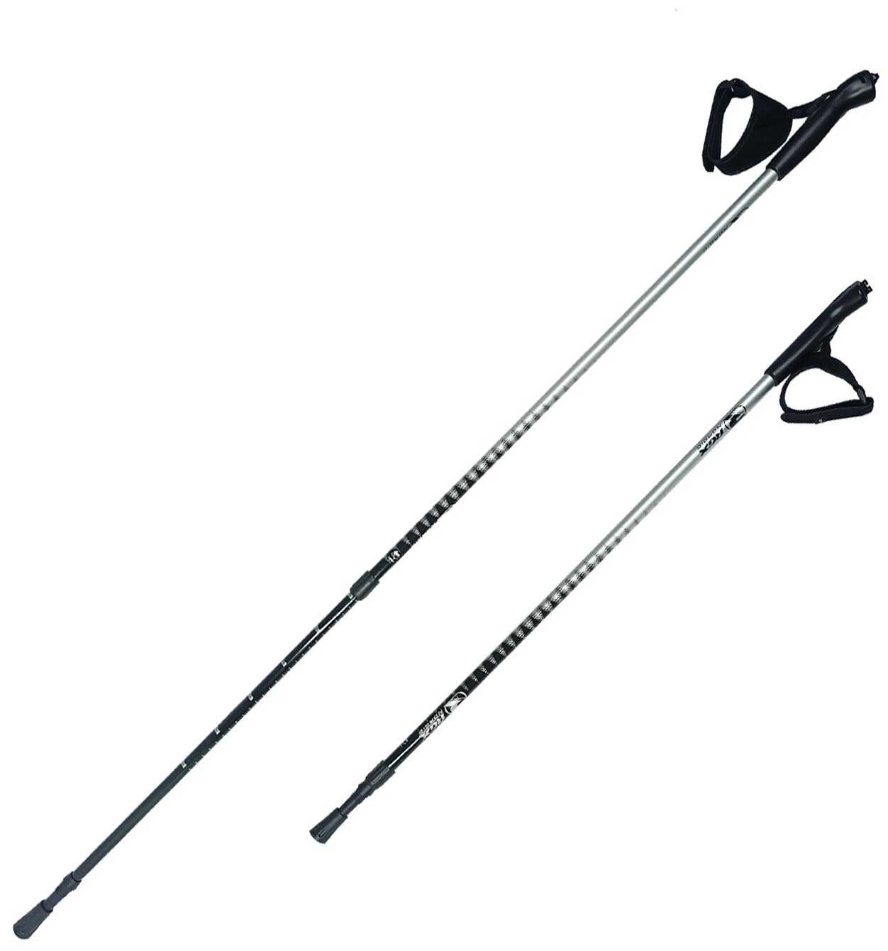 Палки для скандинавской ходьбы RGX NWS фотография 3