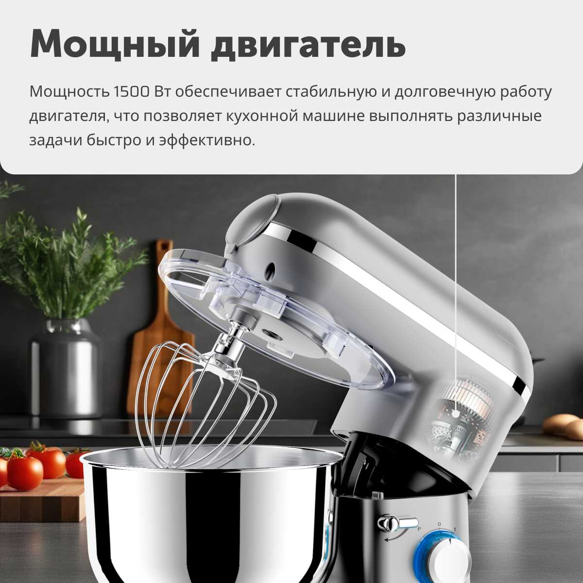 Кухонный комбайн RageX R101-900 фотография 1