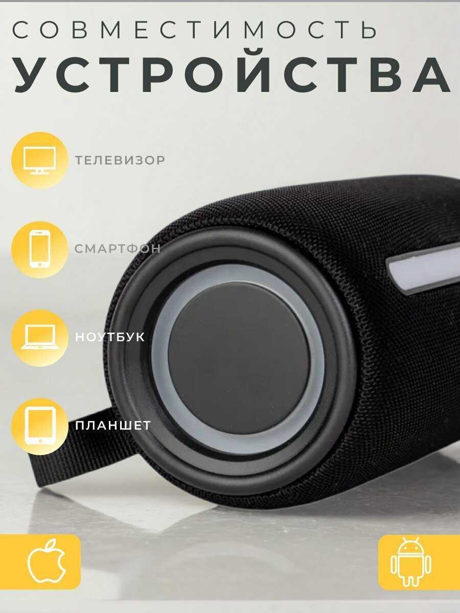 Колонка блютуз Портативная колонка (с FM радио и USB флешкой) фотография 19