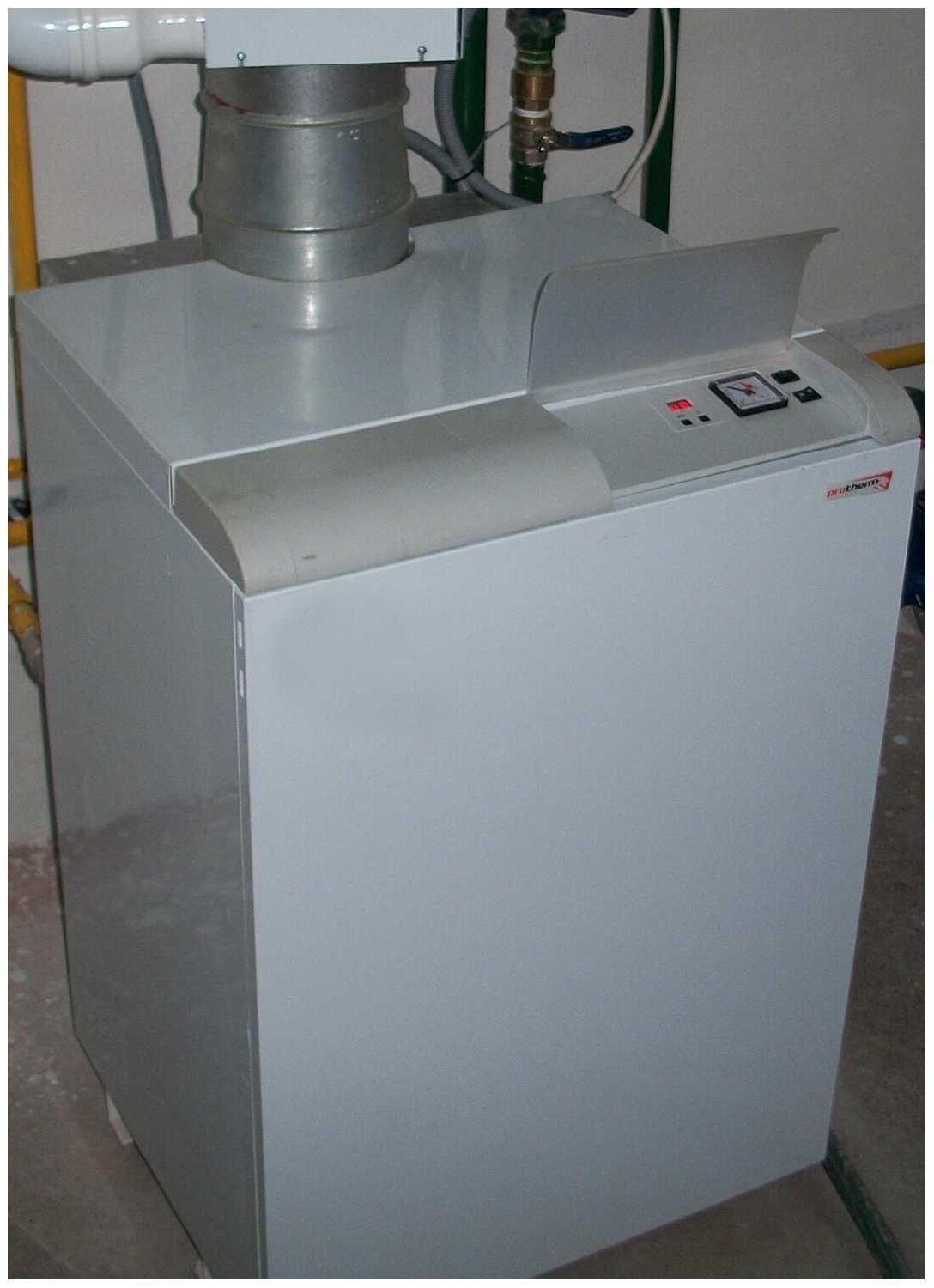 Конвекционный газовый котел Protherm Медведь 30 TLO фотография 5