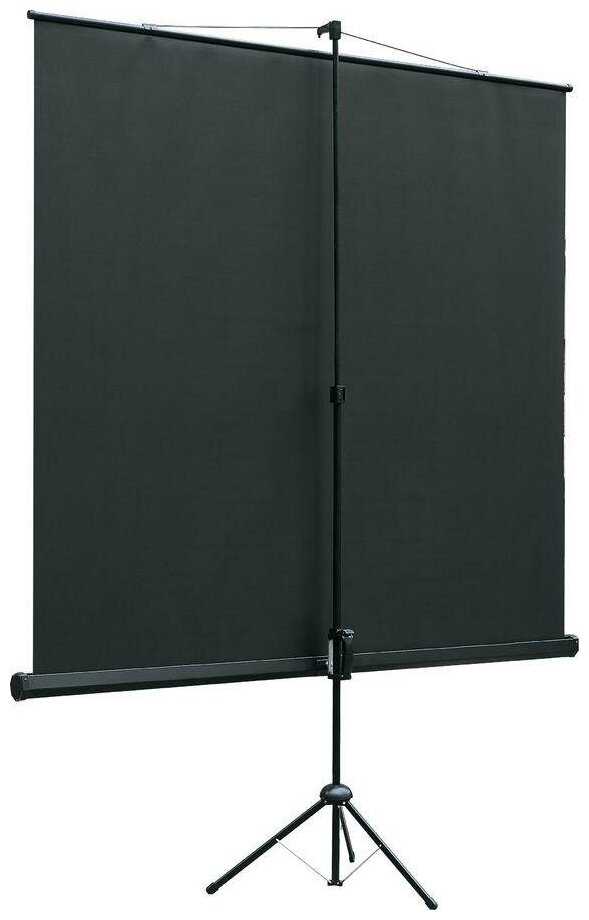 Экран для проектора Lumien Eco View (LEV-100104) фотография 2