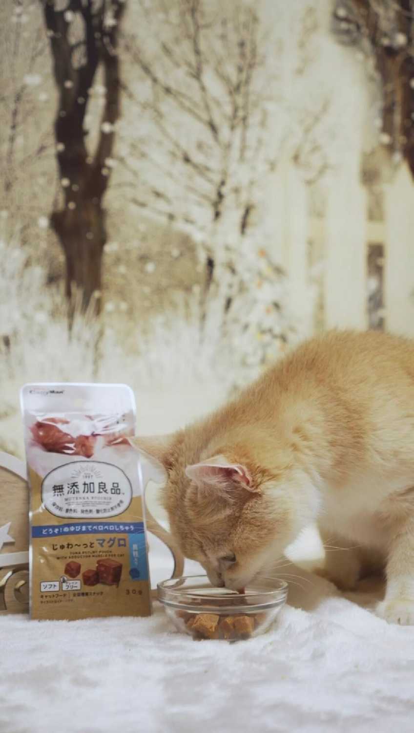 Лакомство для кошек CattyMan Конфетки-суфле фотография 33
