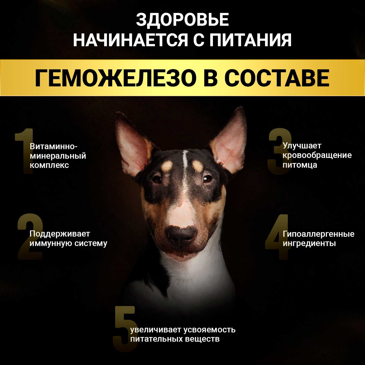 Корм сухой для собак всех пород BUDDY DINNER Премиум класса Gold Line фотография 17