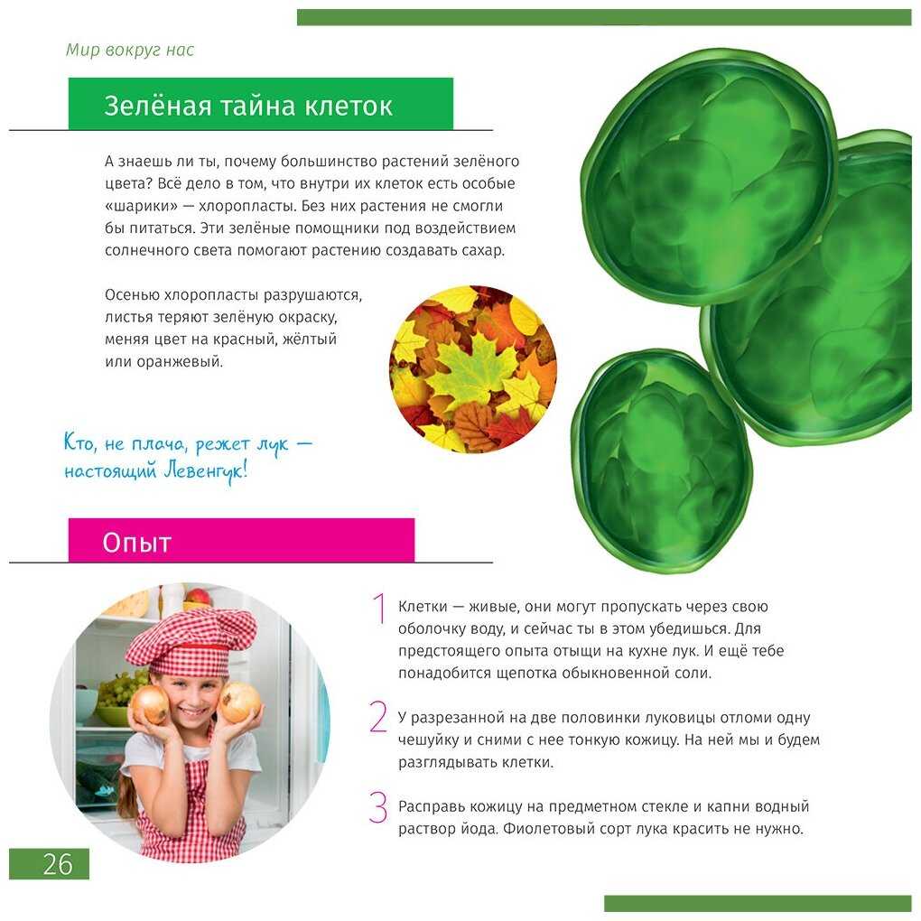 Микроскоп Discovery Centi 02 с книгой 900х / микроскоп детский со стеклами препаратами фотография 5