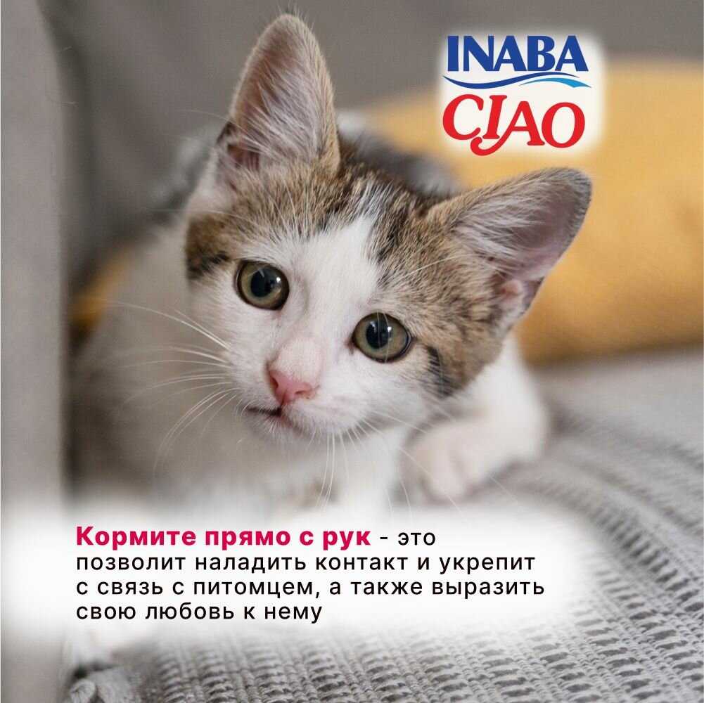 Лакомство-пюре для кошек Inaba Ciao Churu Куриное филе и креветка фотография 5