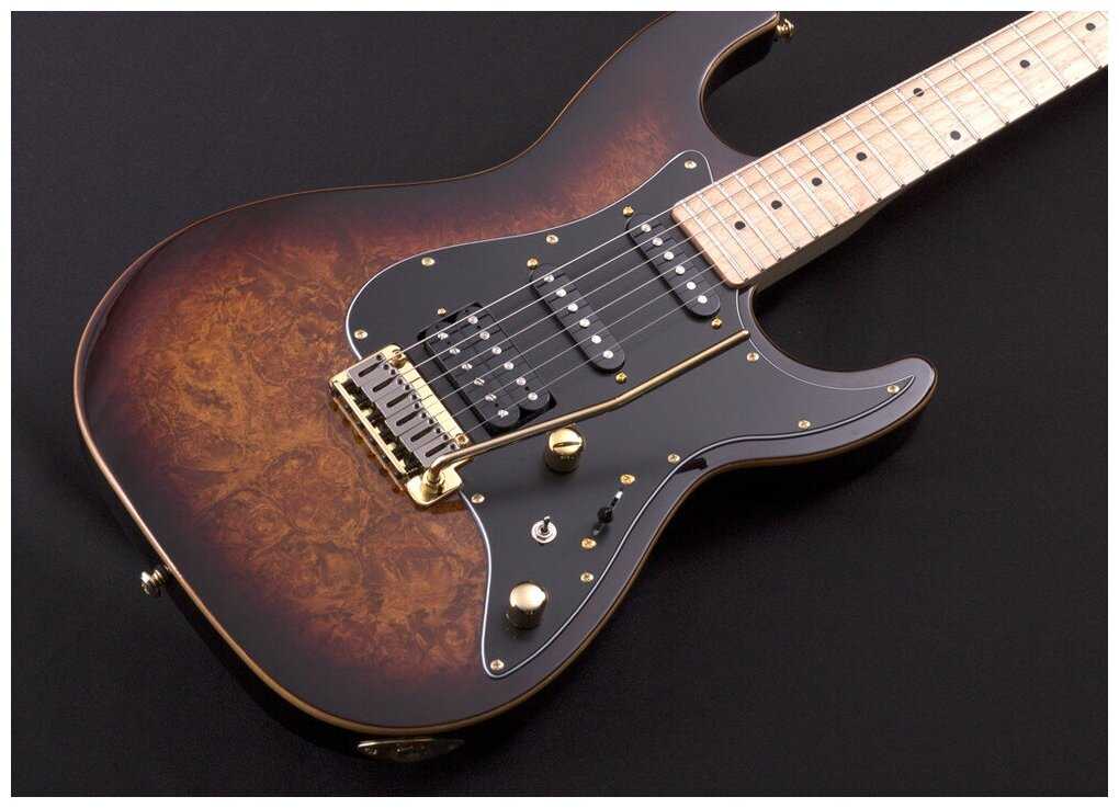 Электрогитара Michael Kelly Custom Collection 60 BB, цвет Burl Burst MK60CBBMRH фотография 2