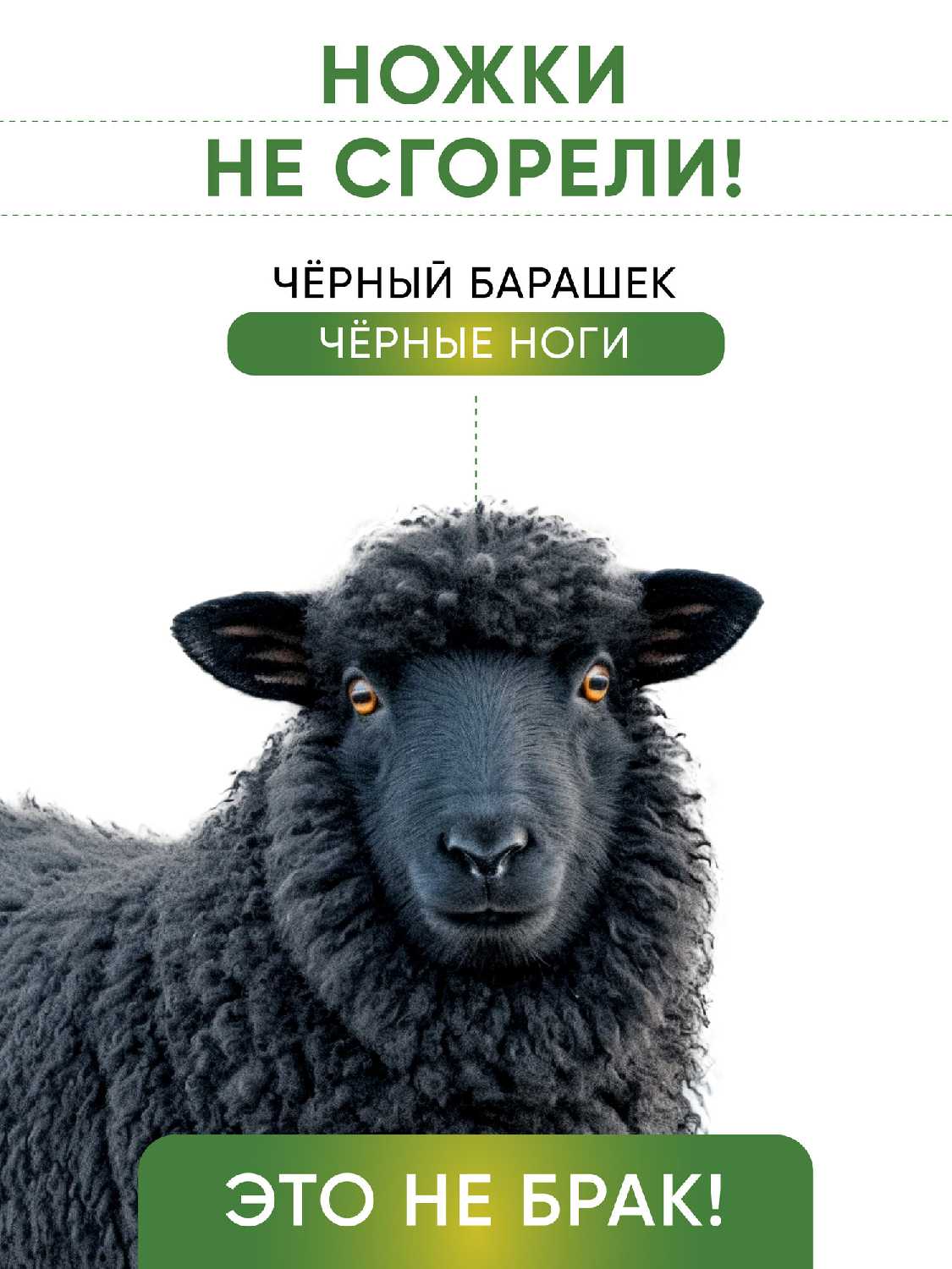 Кости для собак Баранья ножка фотография 16
