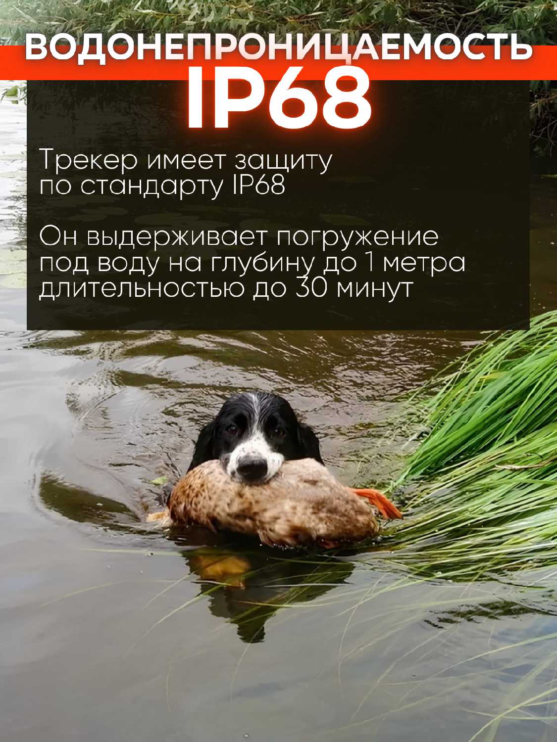 GPS/Glonass трекер IK122М PRO 4G LTE (IK122М) фотография 5