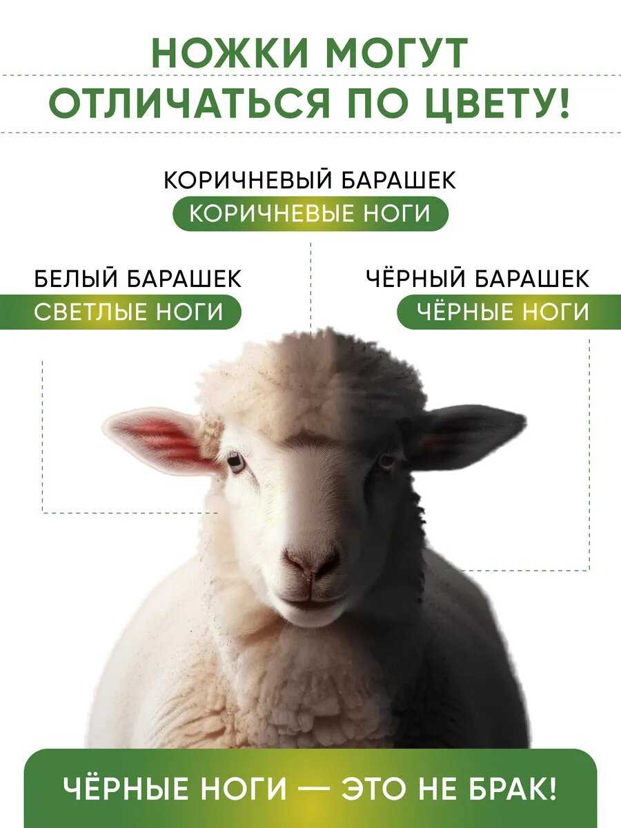 Кости для собак Баранья ножка фотография 32