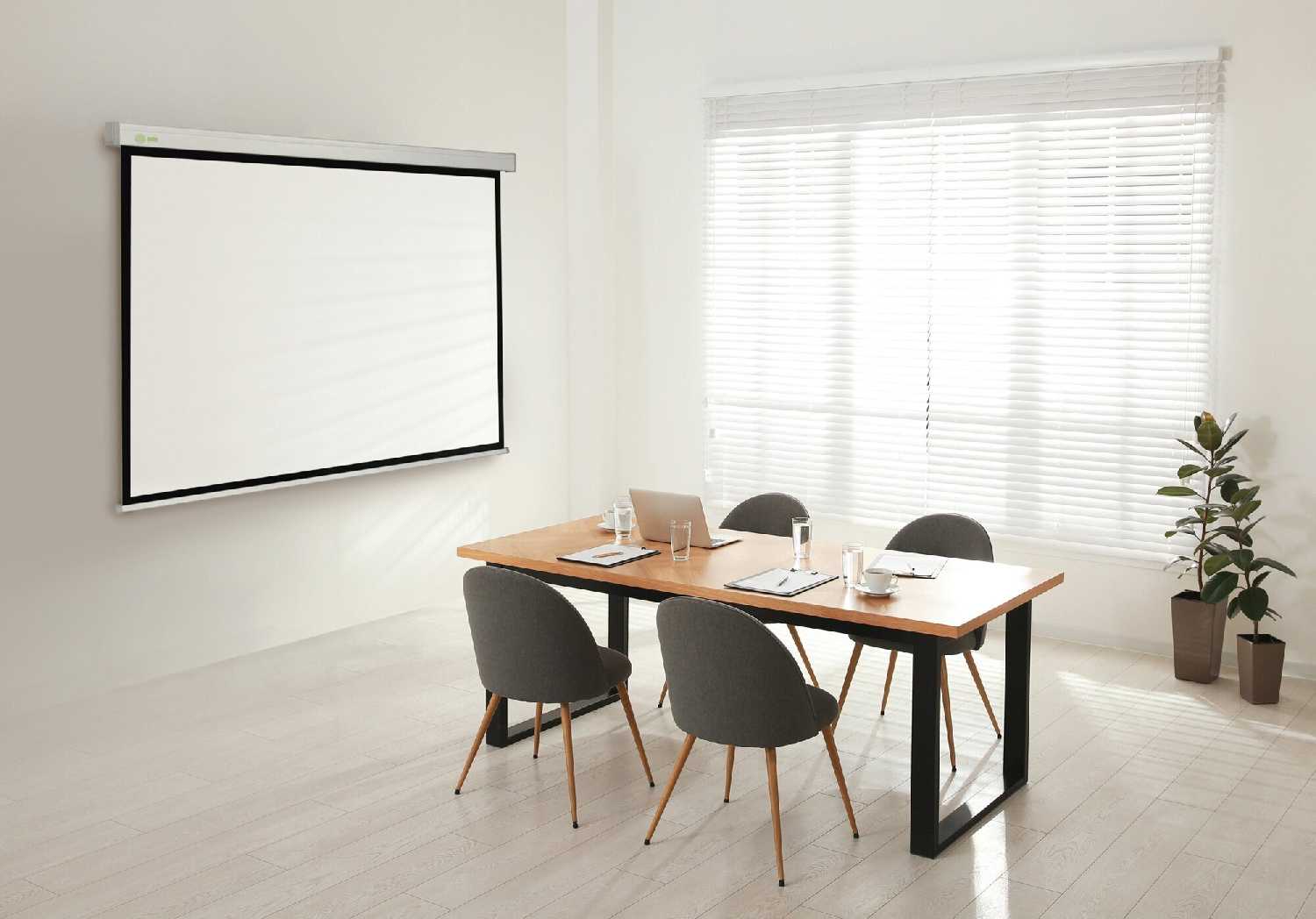 Рулонный cactus Wallscreen (CS-PSW-127x127) фотография 3