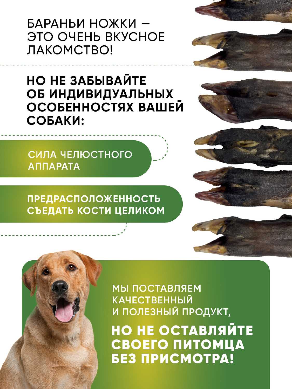Кости для собак Баранья ножка фотография 20